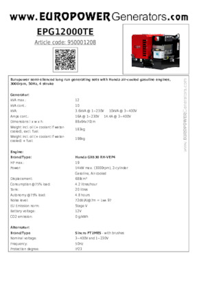 Gasoline Power Generators Europower EPG12000TE (S)