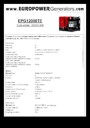 Gasoline Power Generators Europower EPG12000TE (S)