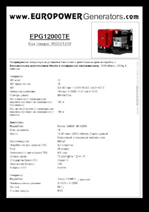 Gasoline Power Generators Europower EPG12000TE (S)