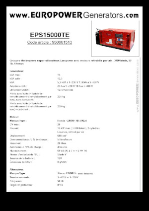 Gasoline Power Generators Europower EPS15000TE (S)