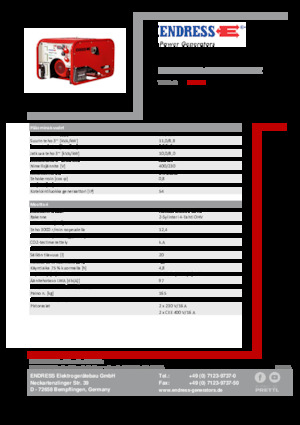 Gasoline Power Generators Endress ESE 1006 DHG-GT ES ISO Duplex