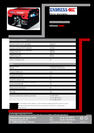 Gasoline Power Generators Endress ESE 1206 DHS-GT ES
