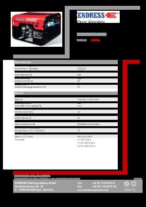 Gasoline Power Generators Endress ESE 1206 HS-GT ES