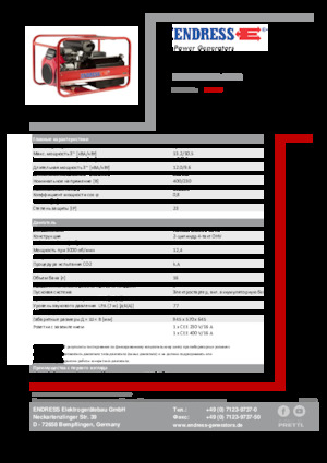Gasoline Power Generators Endress ESE 1306 DHS-GT ES 