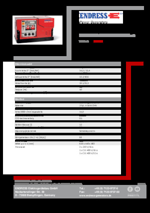 Gasoline Power Generators Endress ESE 1308 DBG ES ISO Duplex Silent