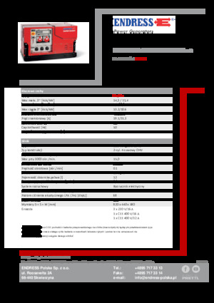 Gasoline Power Generators Endress ESE 1308 DBG ES ISO Duplex Silent