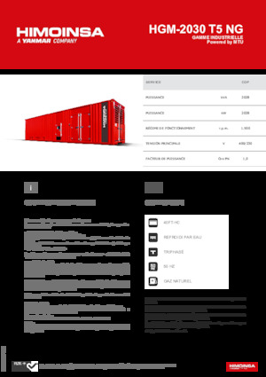 Gasoline Power Generators HIMOINSA HGM-2030 T5 NG