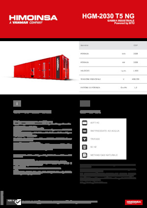 Gasoline Power Generators HIMOINSA HGM-2030 T5 NG