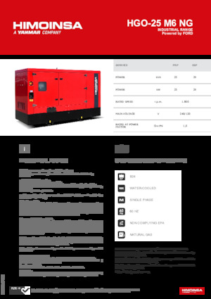 Gasoline Power Generators HIMOINSA HGO-25 M6 NG 