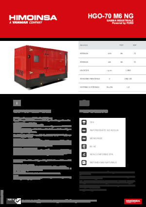 Gasoline Power Generators HIMOINSA HGO-70 M6 NG