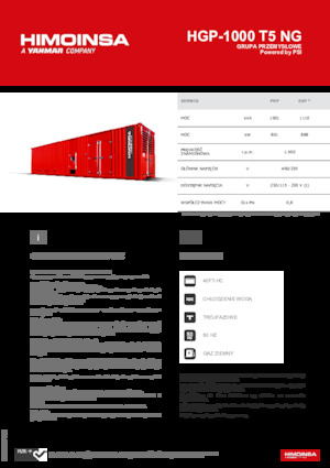 Gasoline Power Generators HIMOINSA HGP-1000 T5 NG