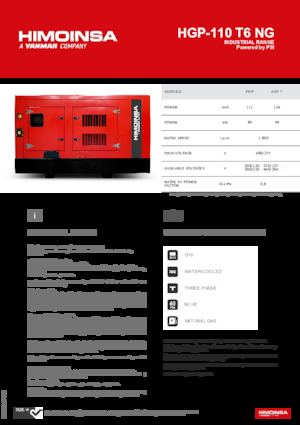Benzinli Jeneratörler HIMOINSA HGP-110 T6 NG