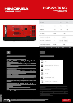 Gasoline Power Generators HIMOINSA HGP-225 T6 NG