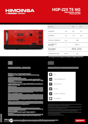 Gasoline Power Generators HIMOINSA HGP-225 T6 NG