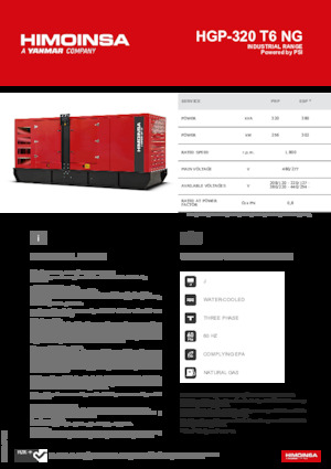 Gasoline Power Generators HIMOINSA HGP-320 T6 NG