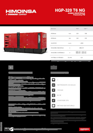 Gasoline Power Generators HIMOINSA HGP-320 T6 NG