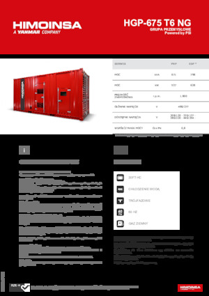Gasoline Power Generators HIMOINSA HGP-675 T6 NG