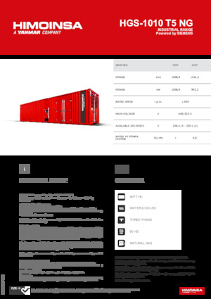 Gasoline Power Generators HIMOINSA HGS-1010 T5 NG