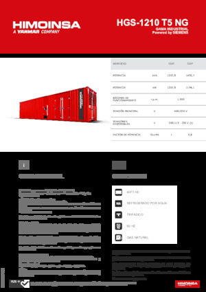 Gasoline Power Generators HIMOINSA HGS-1210 T5 NG