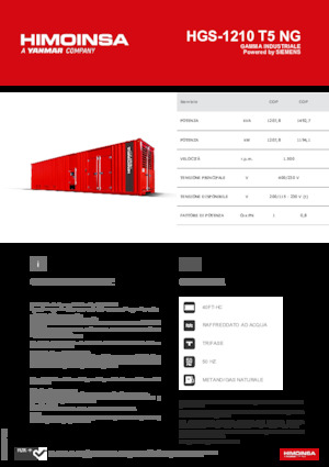 Gasoline Power Generators HIMOINSA HGS-1210 T5 NG
