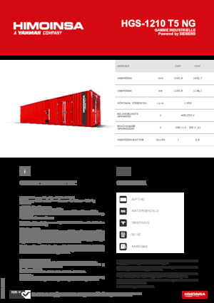 Gasoline Power Generators HIMOINSA HGS-1210 T5 NG