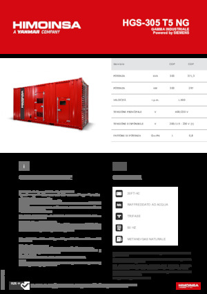 Gasoline Power Generators HIMOINSA HGS-305 T5 NG