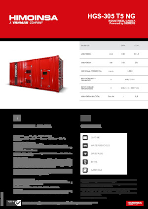 Gasoline Power Generators HIMOINSA HGS-305 T5 NG