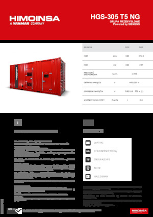 Gasoline Power Generators HIMOINSA HGS-305 T5 NG