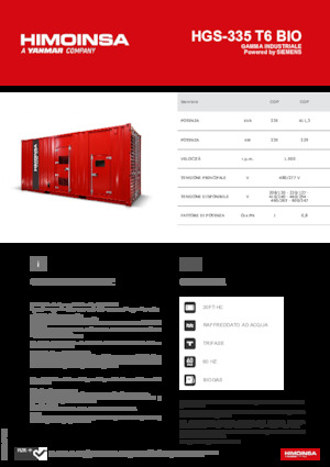 Gasoline Power Generators HIMOINSA HGS-335 T6 BIO