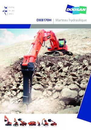 Hydraulic Breakers Doosan DXB170H