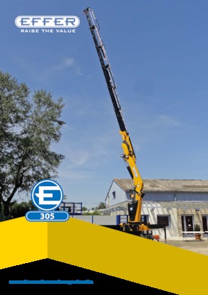 Hidrolik Vinçler Effer 305 5S