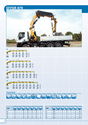 Hidrolik Vinçler Effer 470 6S