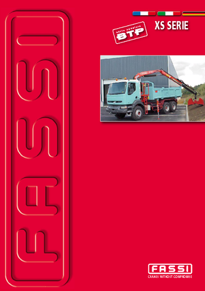 Hidrolik yük kaldırma vinçleri Fassi F 110 AXS 21