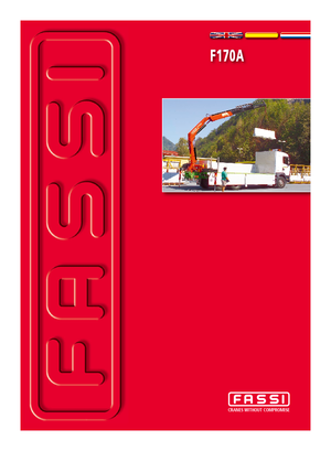 Hidrolik Vinçler Fassi F 170 AC 22