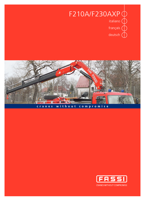 Hidrolik Vinçler Fassi F 210 A 24