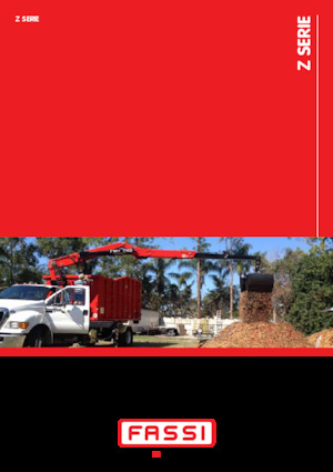 Hidrolik Vinçler Fassi F 215 AZ dynamic