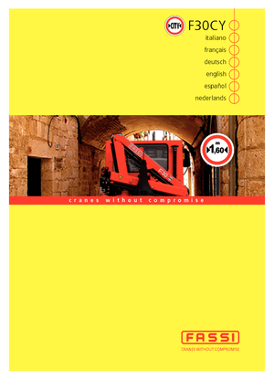 Hidrolik Vinçler Fassi F 30 CY 23