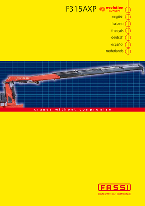 Hidrolik Vinçler Fassi F 315 ACXP 24