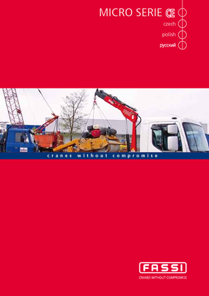 Hidrolik Vinçler Fassi M 20 A 13 Teleskop