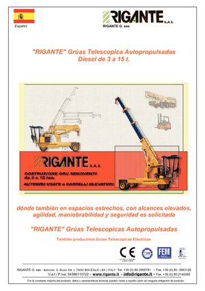 Industrial mobile cranes Rigante GR 50