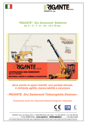 Industrial mobile cranes Rigante GR 50