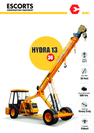 Industrial mobile cranes Escorts Hydra 1336