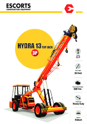 Industrial mobile cranes Escorts Hydra 1336 Top Jack
