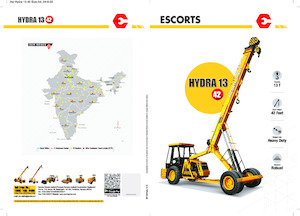 Endüstriyel mobil vinçler Escorts Hydra 1342