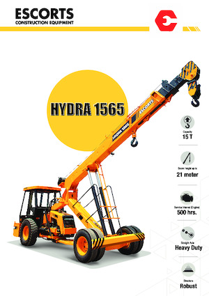 Endüstriyel mobil vinçler Escorts Hydra 1565
