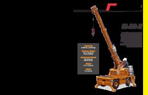 Industrial mobile cranes Broderson IC-20