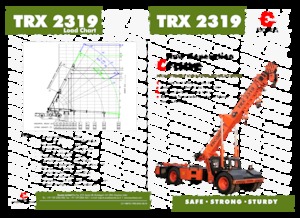 Industrial mobile cranes Escorts TRX 2319