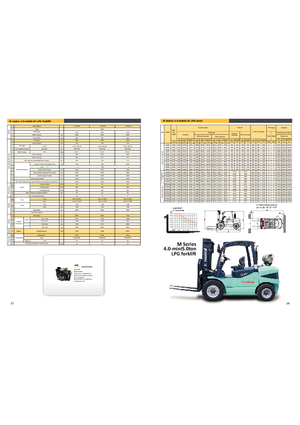 Lpg ön forkliftler Maximal FL 50 T-M1WE3
