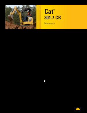 Mini Excavators Caterpillar 301.7 CR