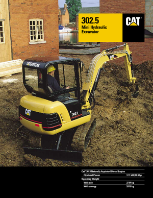 Mini Excavators Caterpillar 302.5